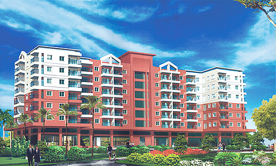 Xuân Đỉnh 1